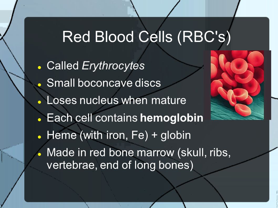 Blood (made of formed Red Blood Cells (RBC's) Called Erythrocytes Small boconcave discs Loses nucleus when mature Each cell contains hemoglobin. - ppt download