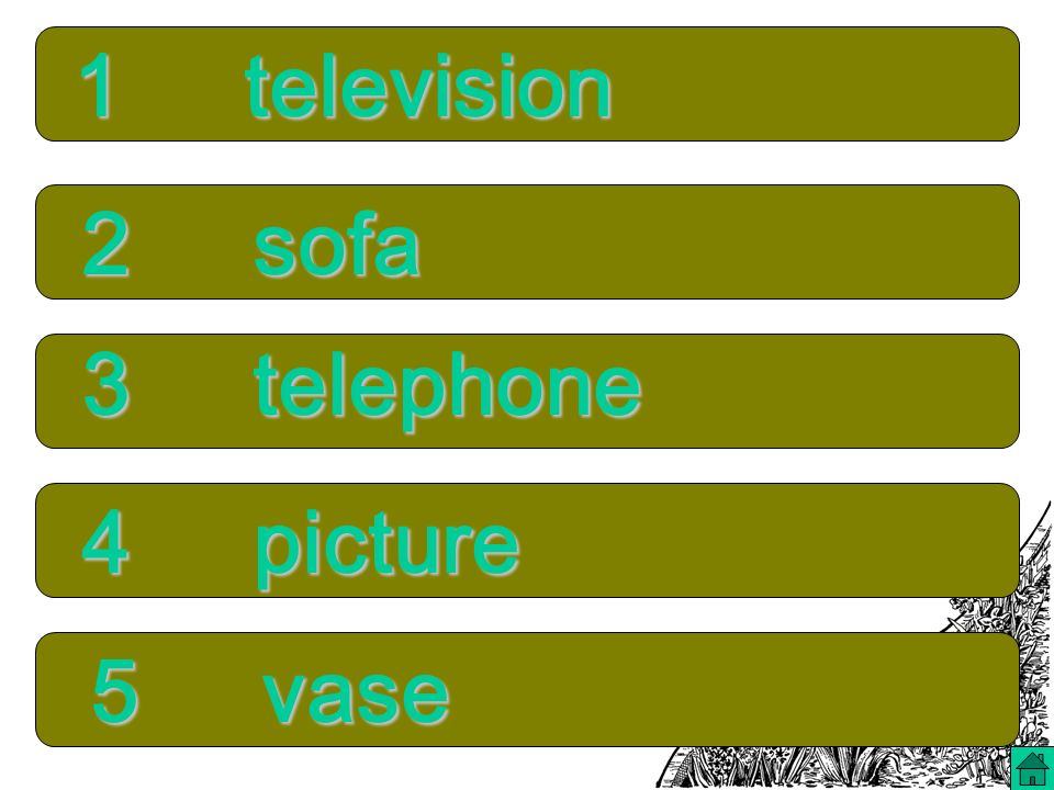 5 vase 4 picture 3 telephone 2 sofa 1 television