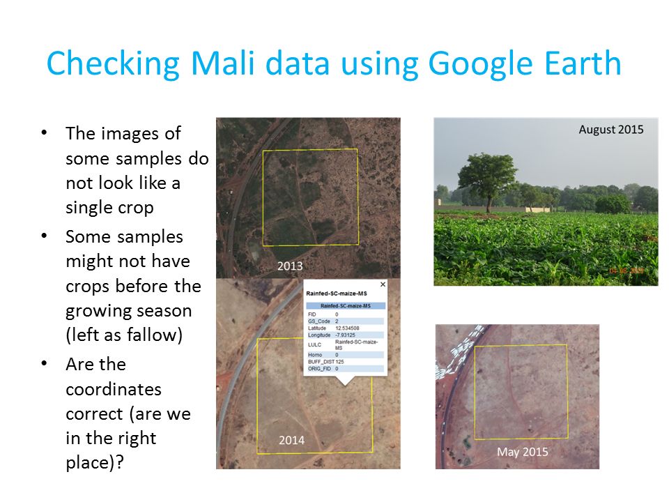 Checking Mali data using Google Earth The images of some samples do not look like a single crop Some samples might not have crops before the growing season (left as fallow) Are the coordinates correct (are we in the right place)