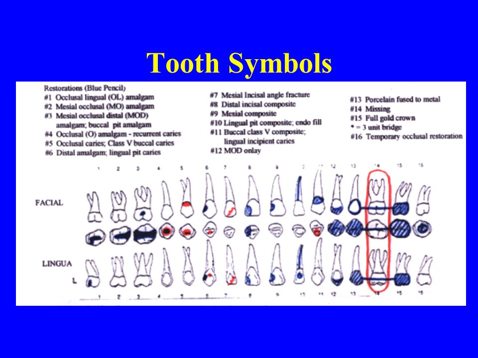 Charting Dental Restorations