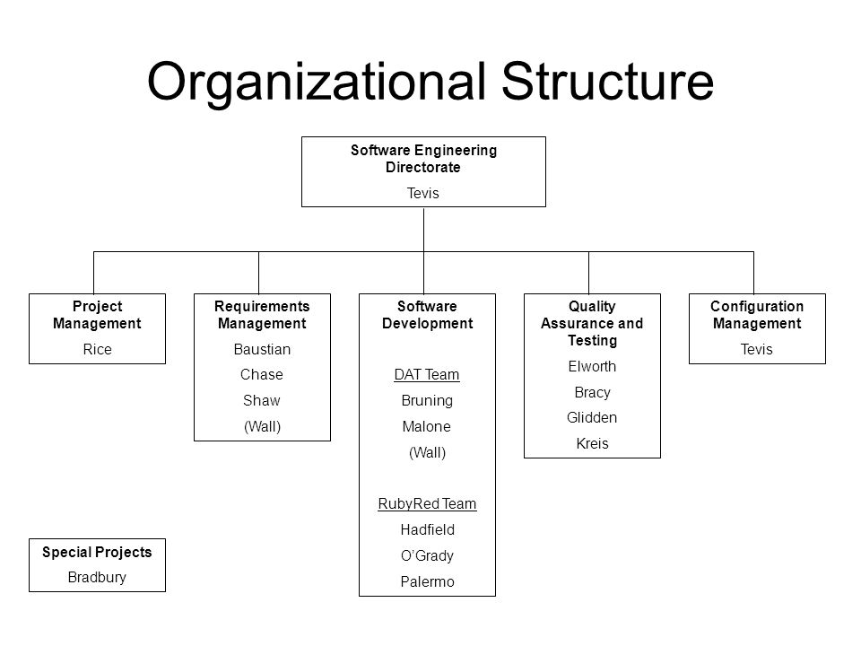 Software Engineering Org Chart