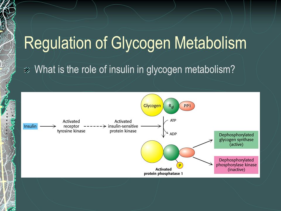 buring de grăsime vs glicogen