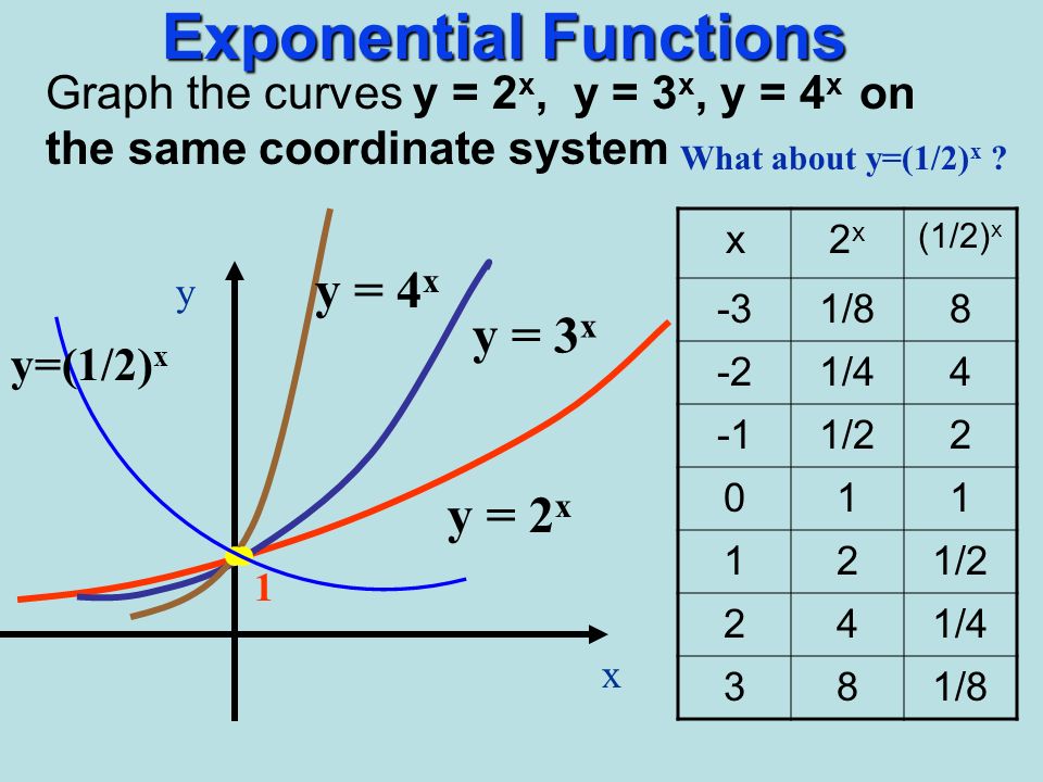 Aim What Is The Exponential Function Do Now Given Y 2 X Fill In The Table X 8 Y Hw Worksheet Ppt Download