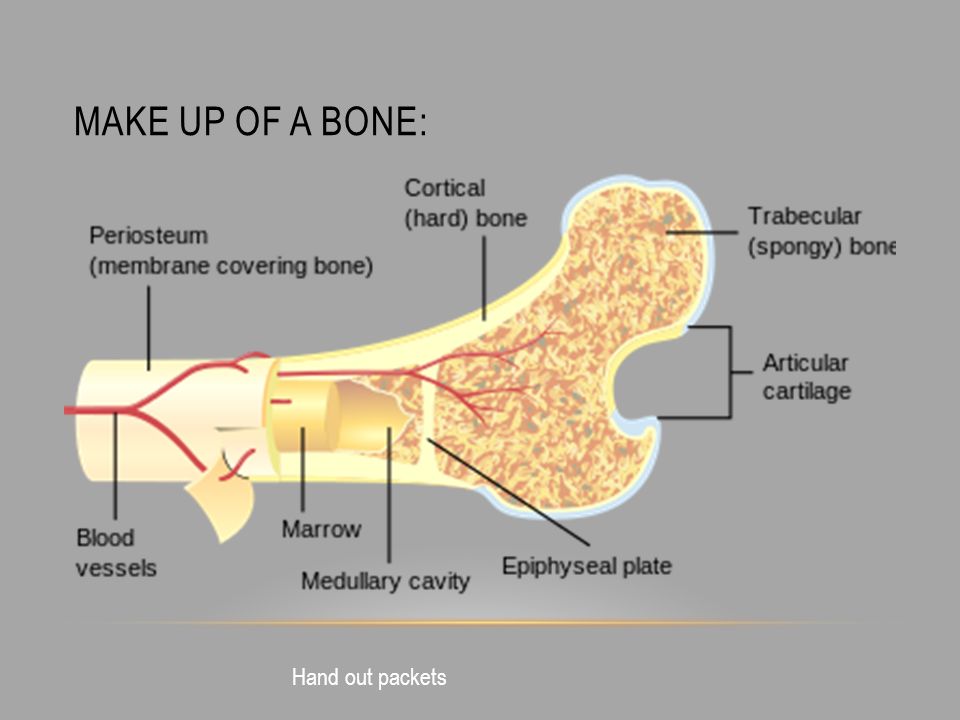 Bone bone играть