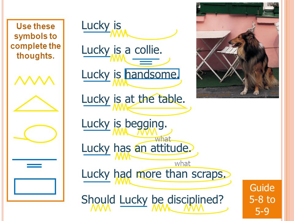 Guide 5-8 to 5-9 what Lucky is Lucky is a collie. Lucky is handsome.