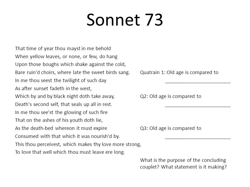 Example Of An English Essay Sonnet Essay On Shakespeare Examples Of Argumentative Thesis Statements For Essays also Sample Essay High School Sonnet Analysis Essay Mistyhamel The Yellow Wallpaper Character Analysis Essay