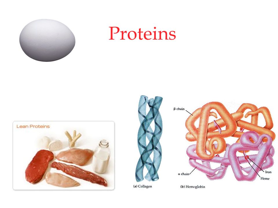 Lipid Examples 1.Fats 2.Oils 3.Waxes (bees wax) 4.Phospholipids (cell membranes) 5.Steroids and cholesterol