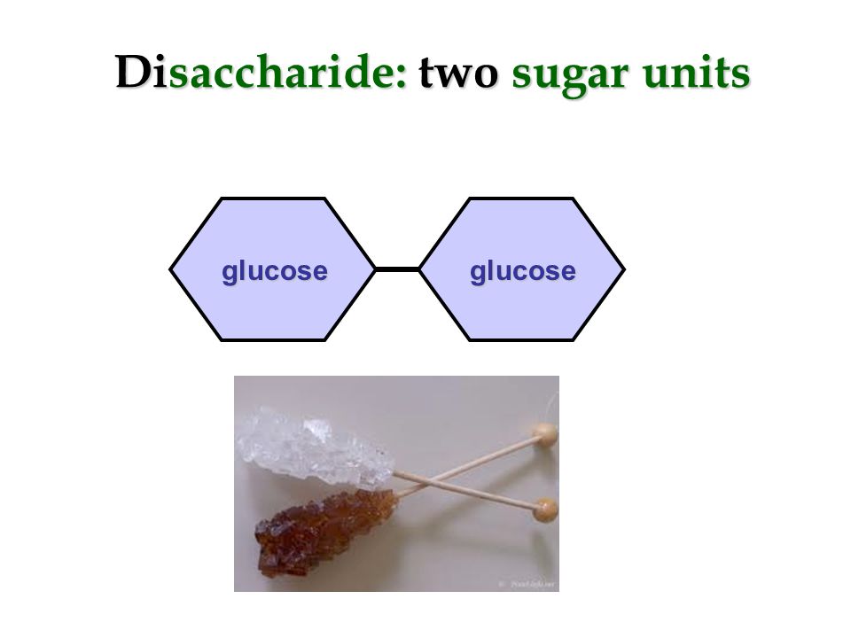 Carbohydrates Monosaccharide: one sugar unit glucose ( glucose (C 6 H 12 O 6 ) is blood sugar glucose YUM!