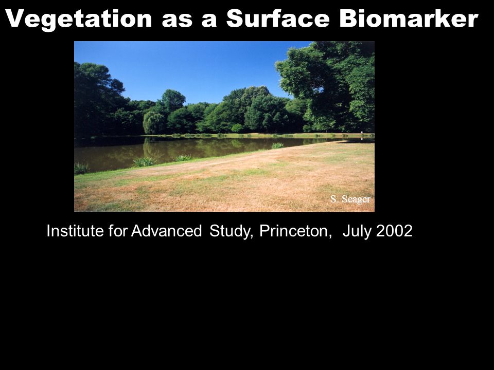 S. Seager Institute for Advanced Study, Princeton, July 2002 Vegetation as a Surface Biomarker