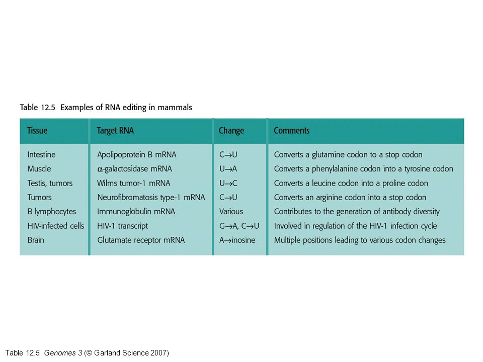 Table 12.5 Genomes 3 (© Garland Science 2007)