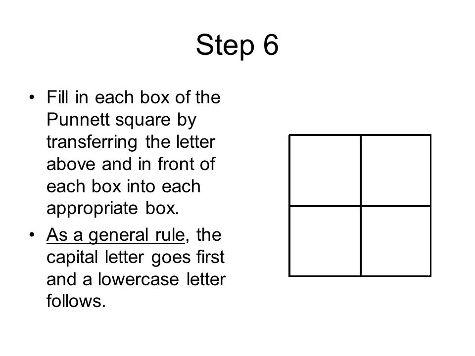 Step 6 Fill in each box of the Punnett square by transferring the letter above and in front of each box into each appropriate box.
