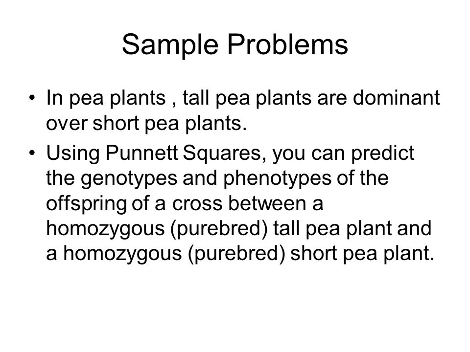 Sample Problems In pea plants, tall pea plants are dominant over short pea plants.