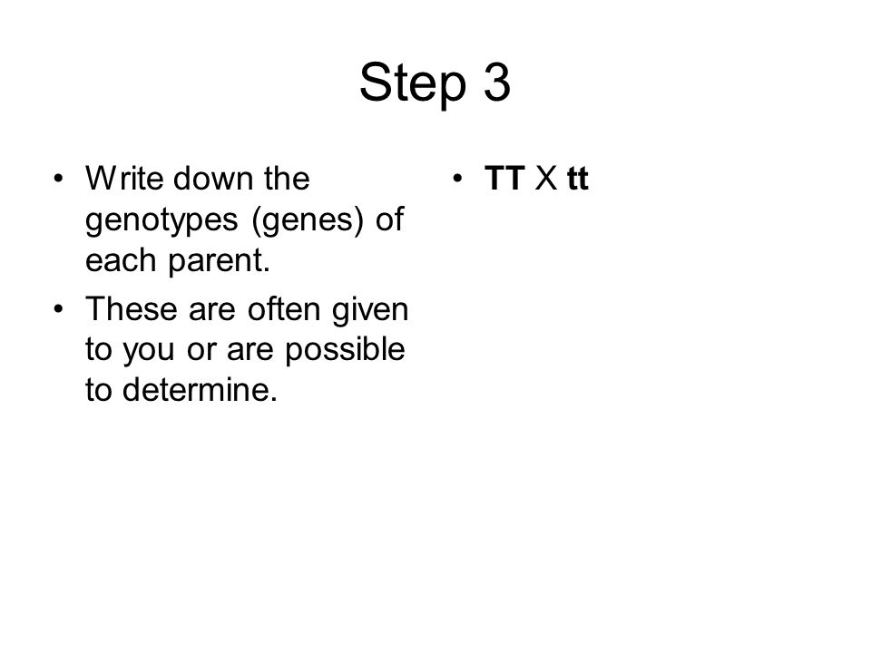 Step 3 Write down the genotypes (genes) of each parent.