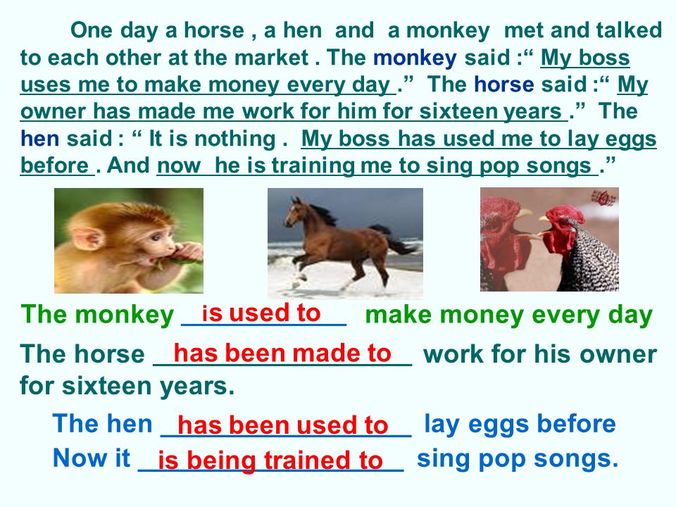 Reading and Practicing Situation （情景） : One day a horse ， a hen and monkey met and talked to each other at the market.