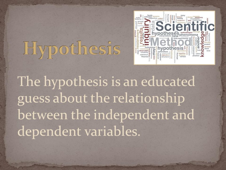 The hypothesis is an educated guess about the relationship between the independent and dependent variables.