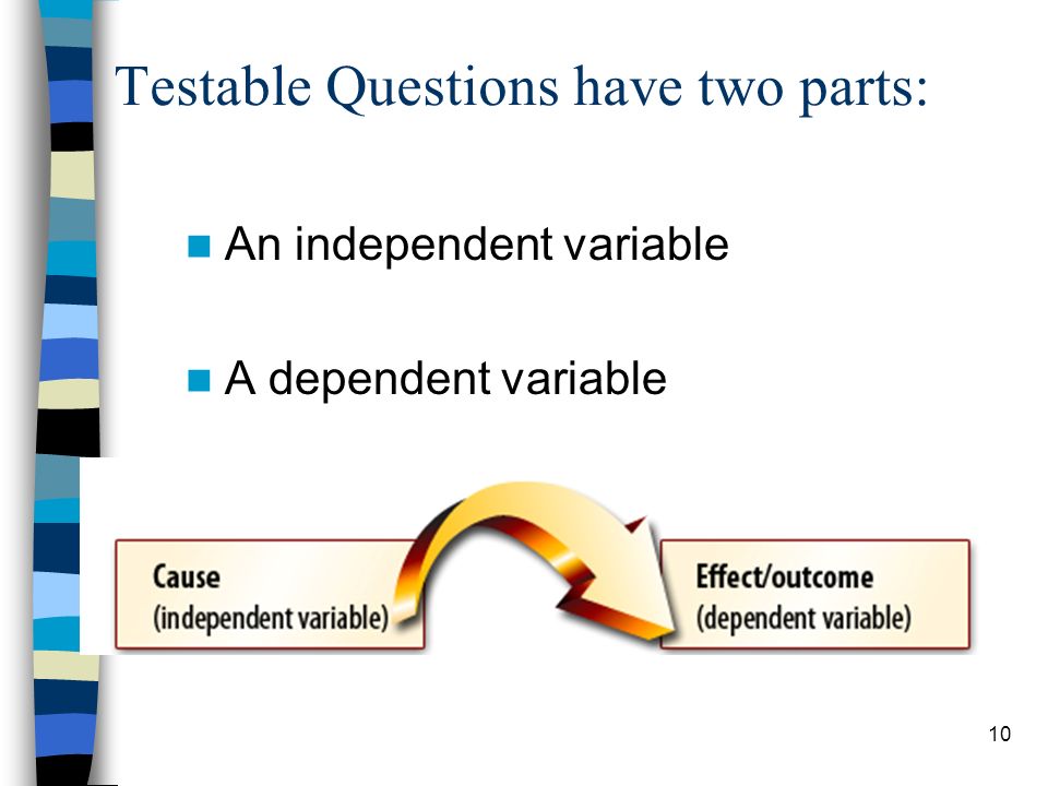 Testable Questions have two parts: An independent variable A dependent variable 10