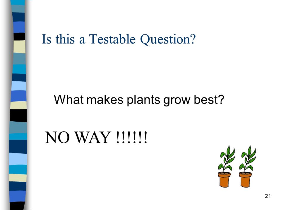 Is this a Testable Question What makes plants grow best 21 NO WAY !!!!!!