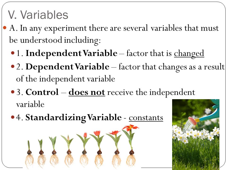 V. Variables A.