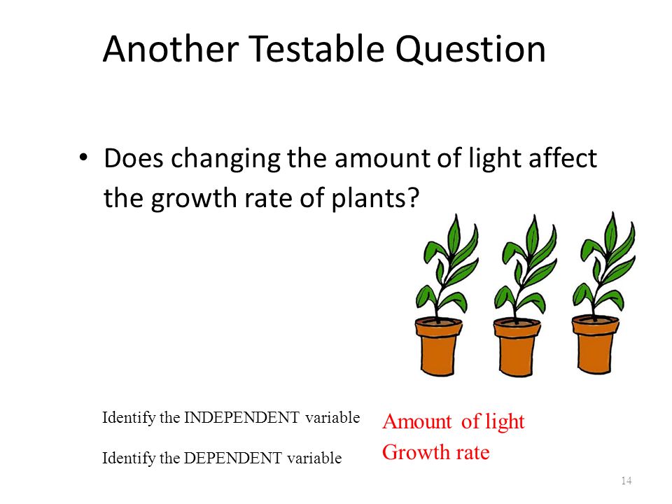 Another Testable Question Does changing the amount of light affect the growth rate of plants.