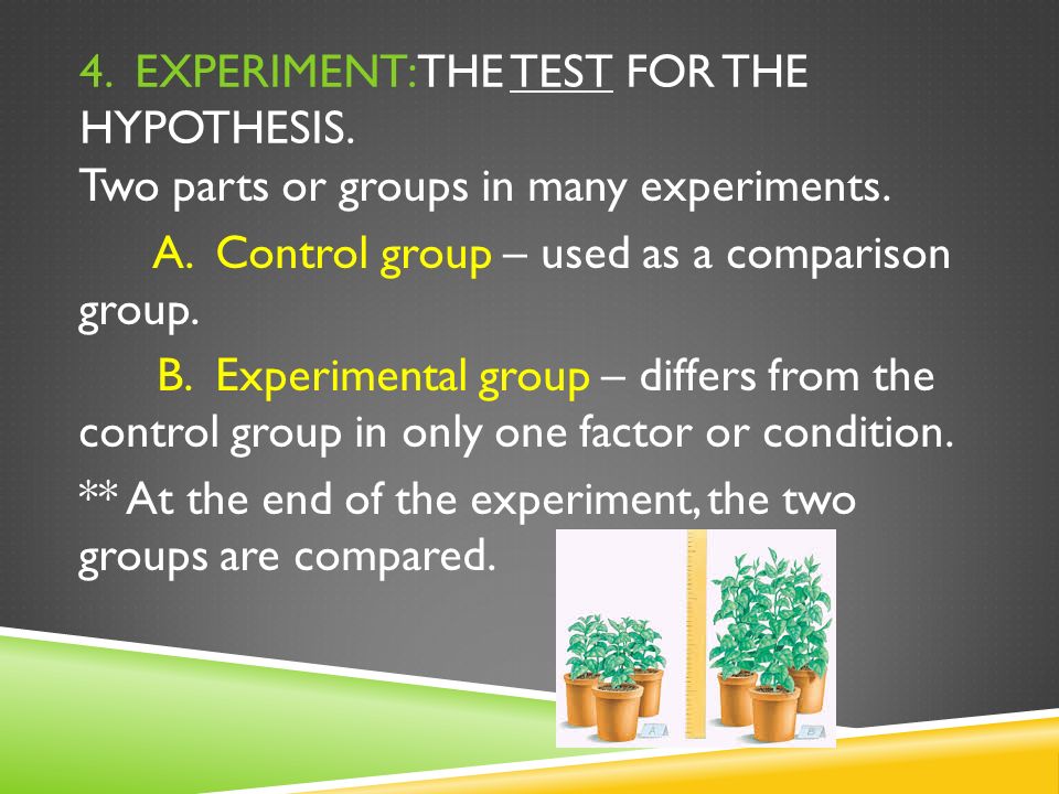 4. EXPERIMENT: THE TEST FOR THE HYPOTHESIS. Two parts or groups in many experiments.