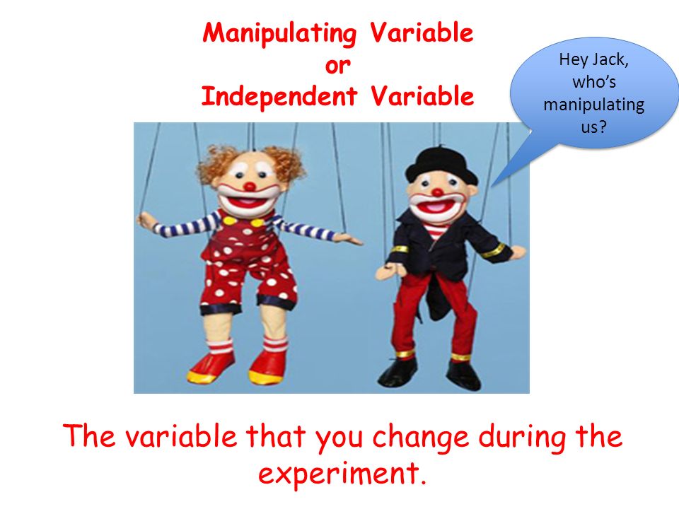 Manipulating Variable or Independent Variable The variable that you change during the experiment.