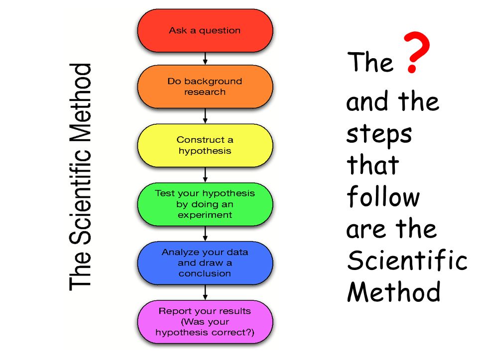 The and the steps that follow are the Scientific Method