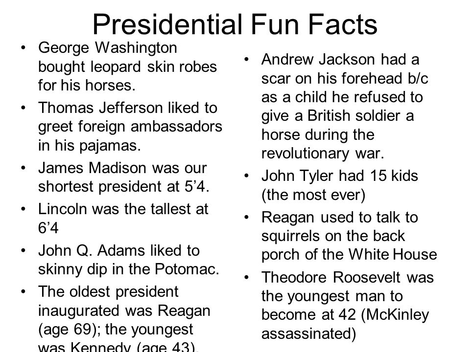 Presidential Fun Facts George Washington bought leopard skin robes for his horses.