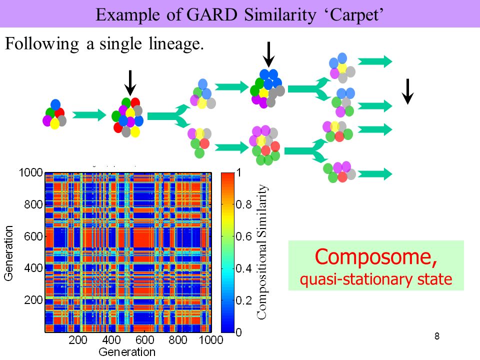 8 Example of GARD Similarity ‘Carpet’ Following a single lineage.