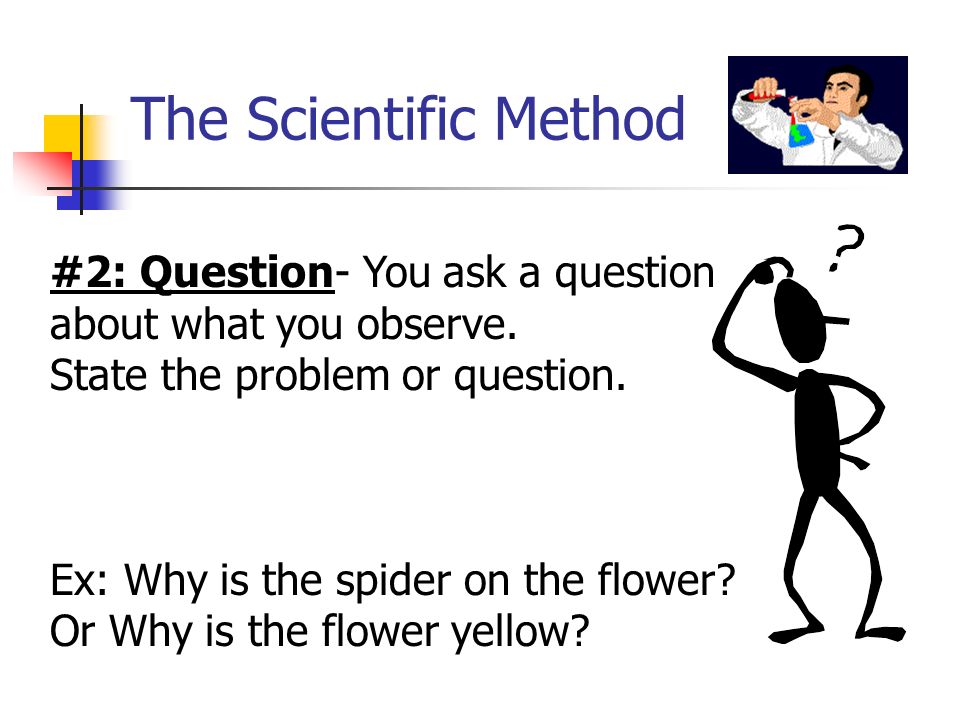 The Scientific Method #2: Question- You ask a question about what you observe.
