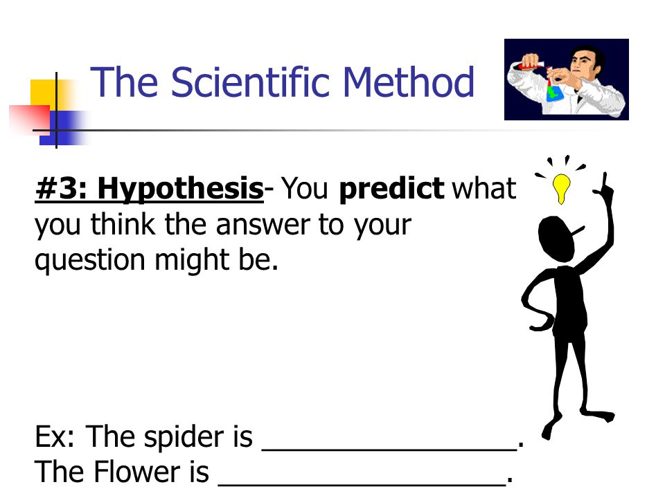 The Scientific Method #3: Hypothesis- You predict what you think the answer to your question might be.