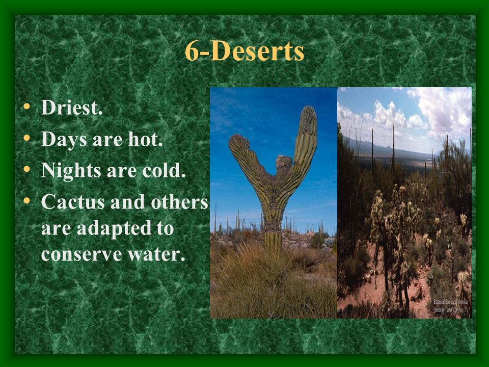 6-Deserts Driest. Days are hot. Nights are cold. Cactus and others are adapted to conserve water.
