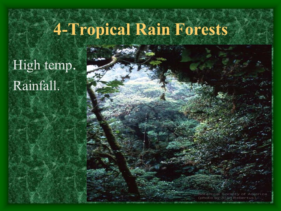 4-Tropical Rain Forests High temp. Rainfall.
