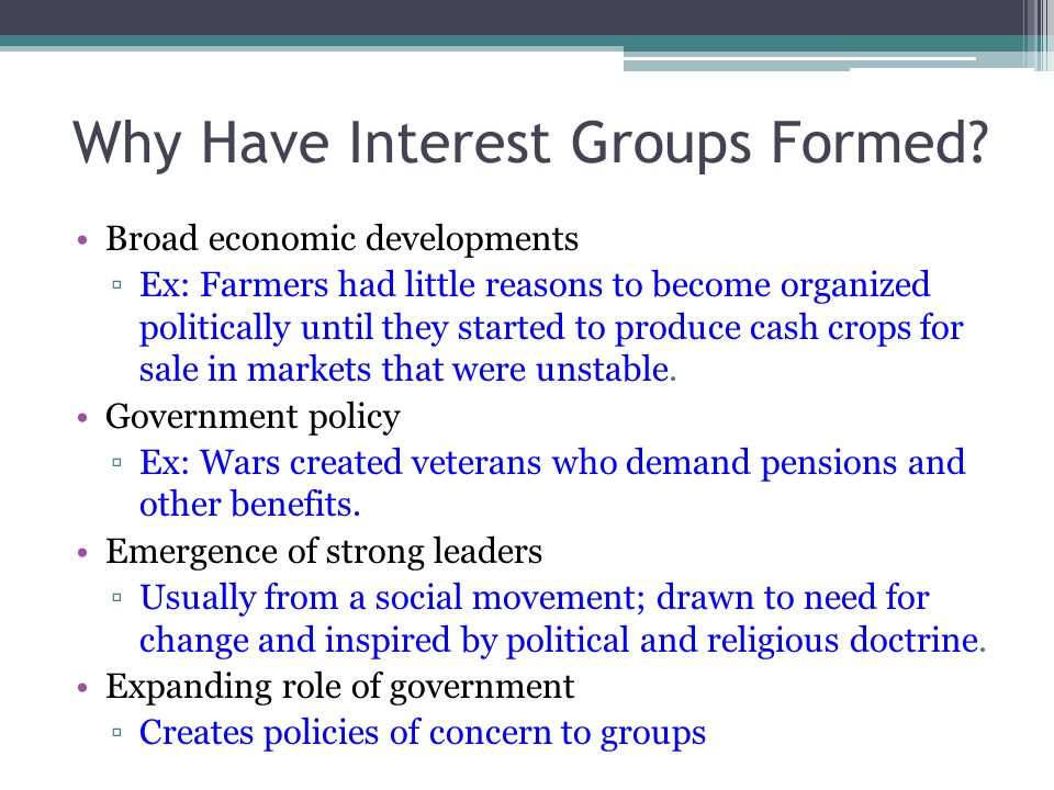 Реферат: The Effects Of Interest Groups On Politics