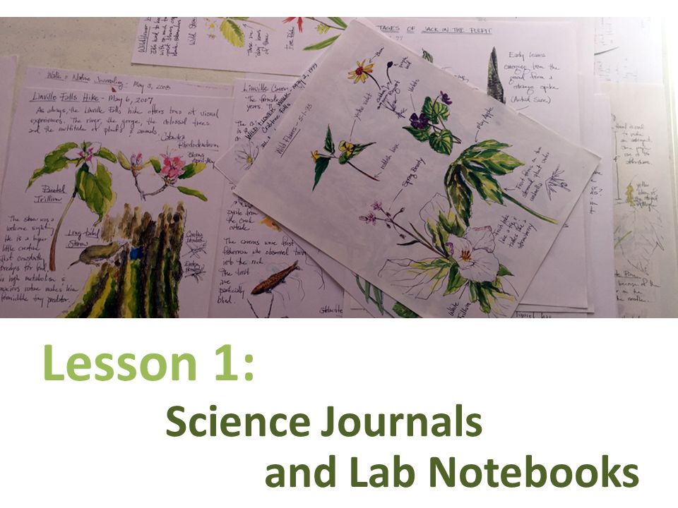 and Lab Notebooks Lesson 1: Science Journals