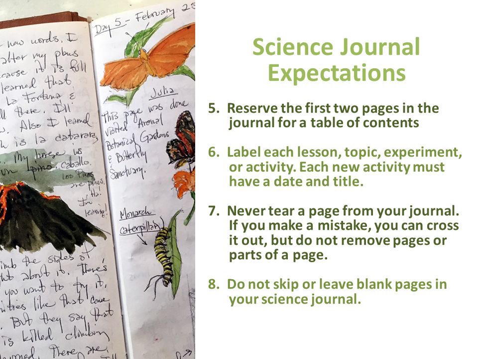 Science Journal Expectations 5.