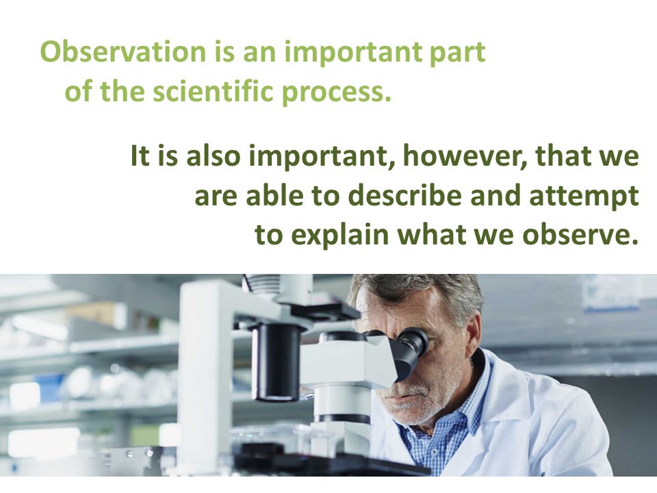 Observation is an important part of the scientific process.