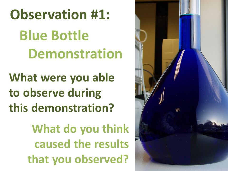 Observation #1: Blue Bottle Demonstration What were you able to observe during this demonstration.