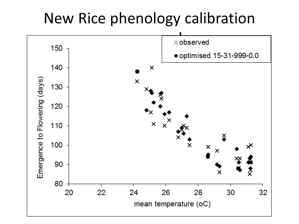 New Rice phenology calibration program !