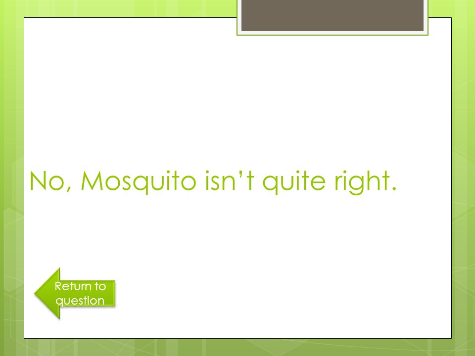 No, Mosquito isn’t quite right. Return to question Return to question