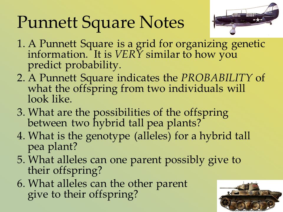 Punnett Square Notes 1. A Punnett Square is a grid for organizing genetic information.