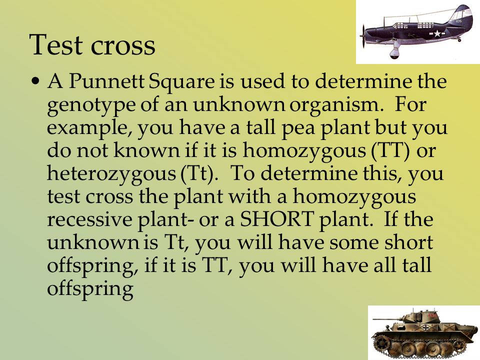 Test cross A Punnett Square is used to determine the genotype of an unknown organism.