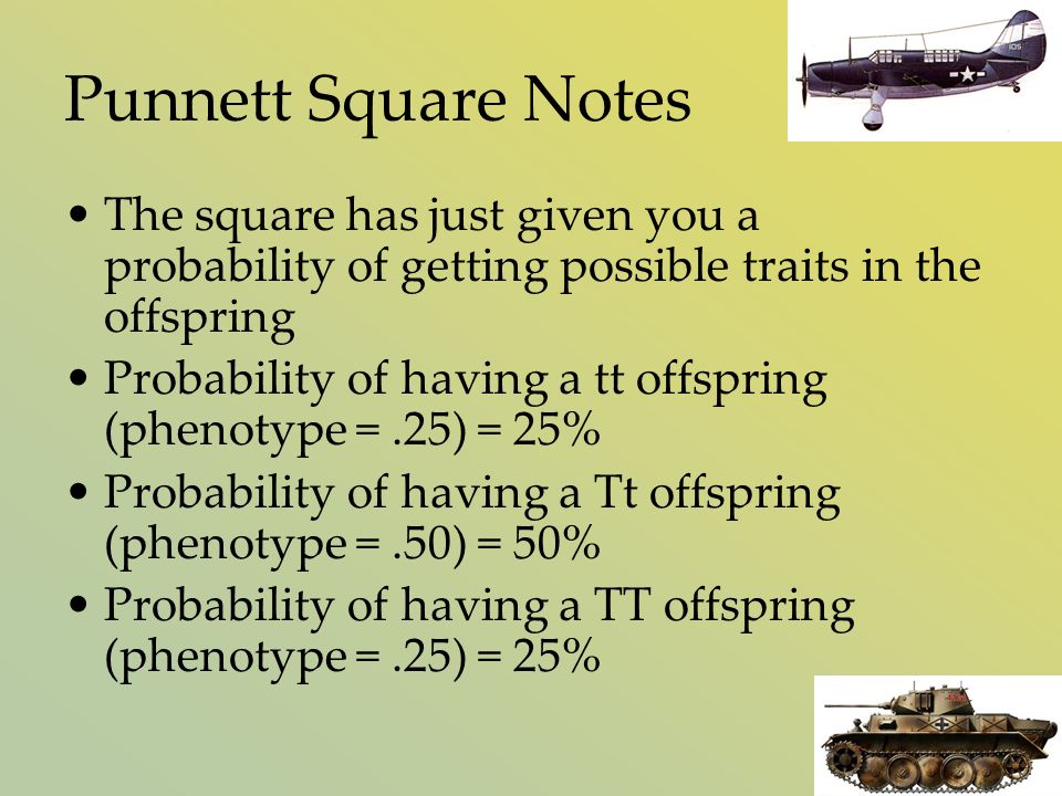 Punnett Square Notes The square has just given you a probability of getting possible traits in the offspring Probability of having a tt offspring (phenotype =.25) = 25% Probability of having a Tt offspring (phenotype =.50) = 50% Probability of having a TT offspring (phenotype =.25) = 25%