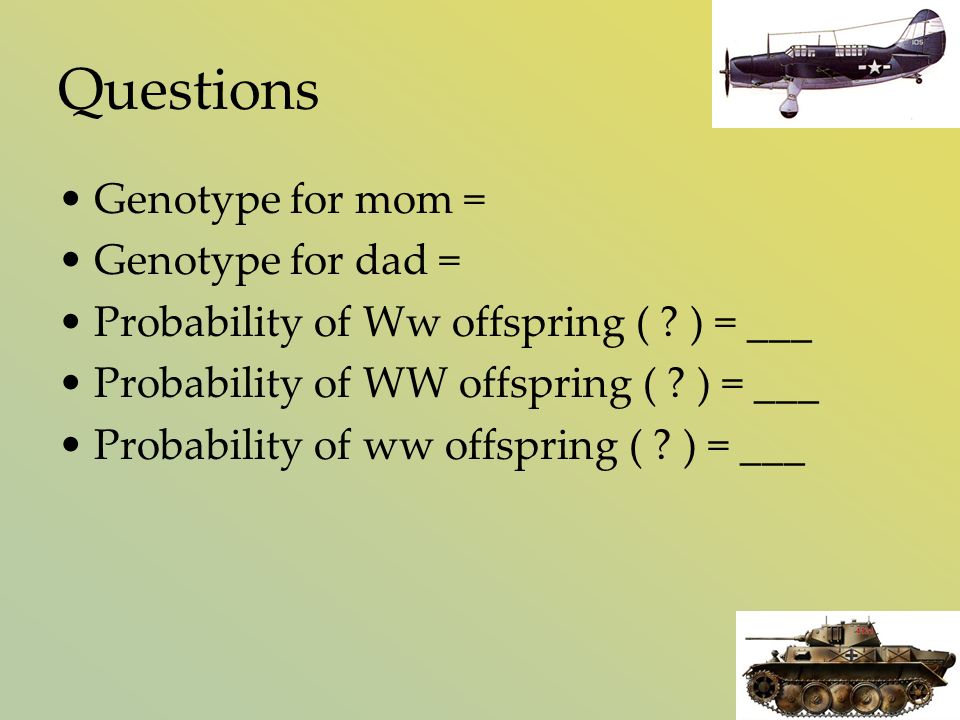 Questions Genotype for mom = Genotype for dad = Probability of Ww offspring ( .