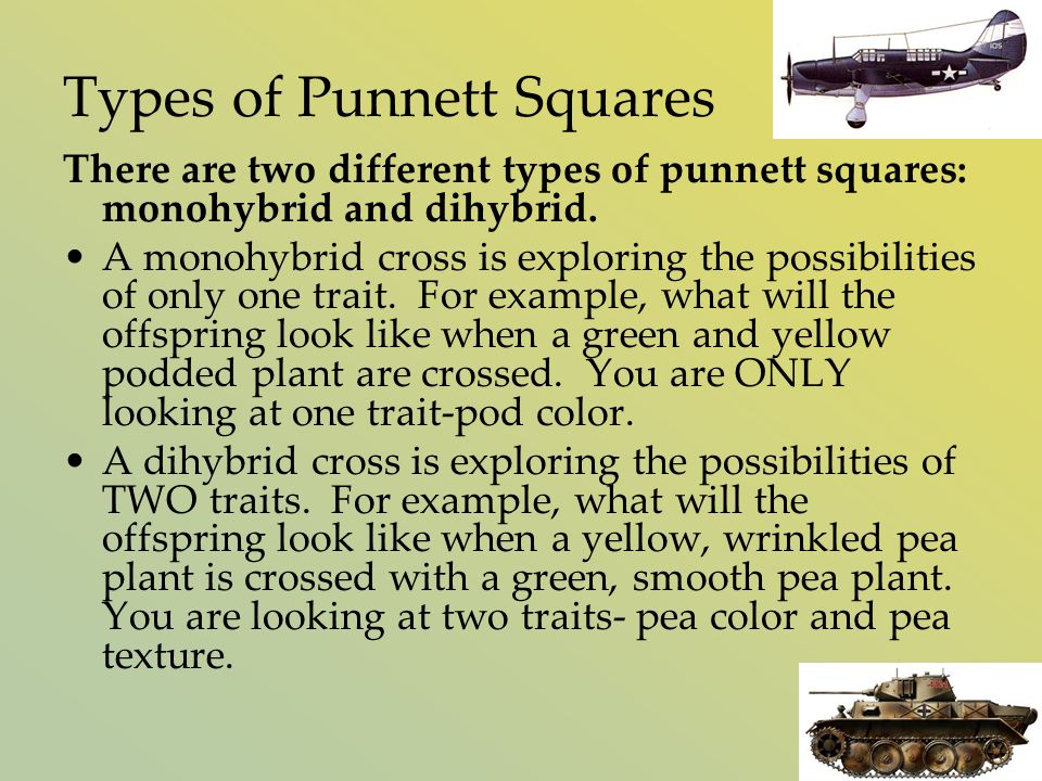 Types of Punnett Squares There are two different types of punnett squares: monohybrid and dihybrid.