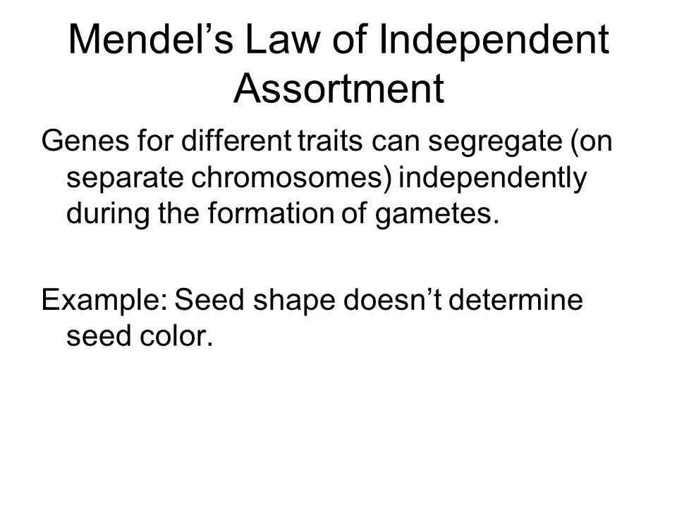 Mendel’s Law of Independent Assortment Genes for different traits can segregate (on separate chromosomes) independently during the formation of gametes.