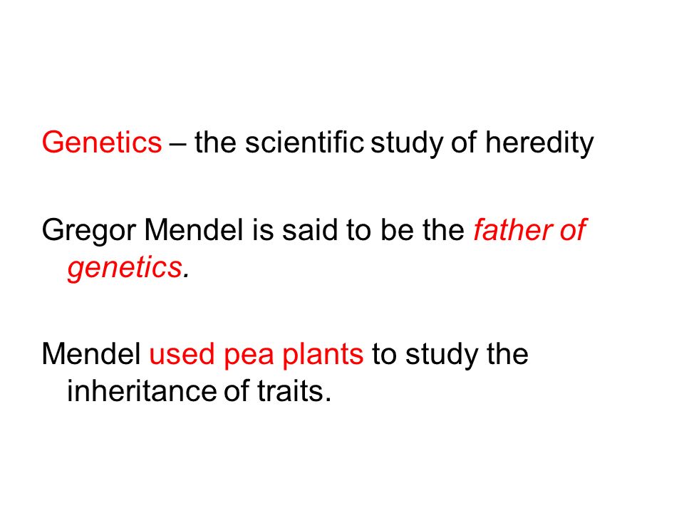 Genetics – the scientific study of heredity Gregor Mendel is said to be the father of genetics.
