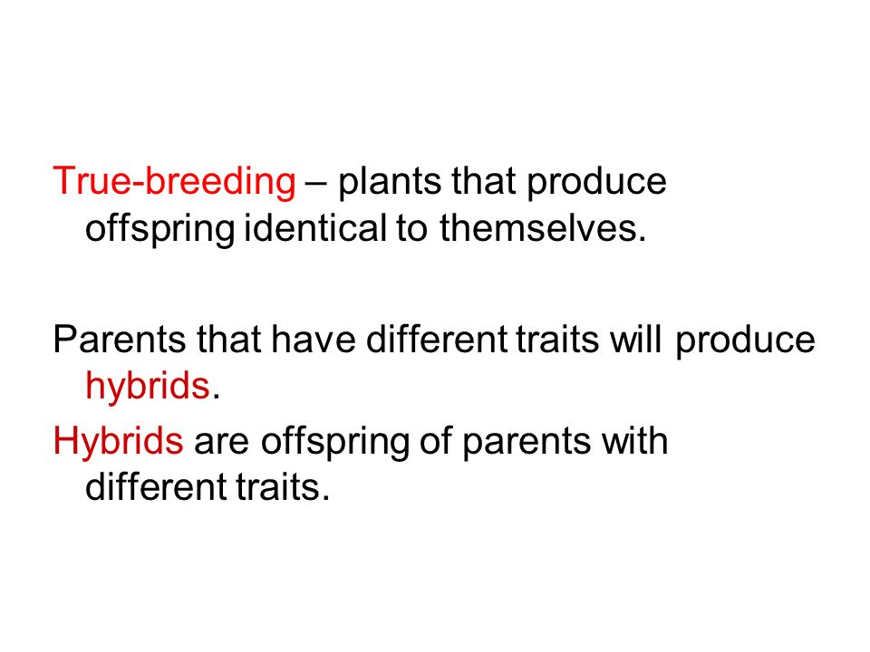True-breeding – plants that produce offspring identical to themselves.