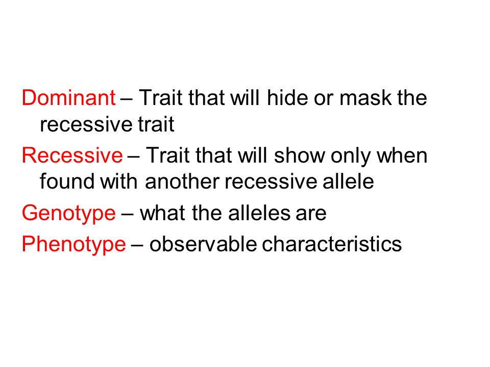 Dominant – Trait that will hide or mask the recessive trait Recessive – Trait that will show only when found with another recessive allele Genotype – what the alleles are Phenotype – observable characteristics