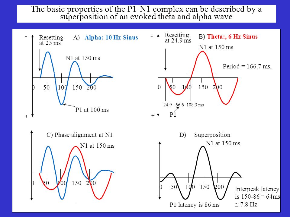 Alpha And Theta Oscillations: Conscious Control Of Information 