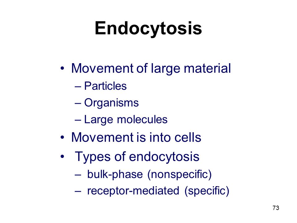 Endocytosis Movement of large material –Particles –Organisms –Large molecules Movement is into cells Types of endocytosis – bulk-phase (nonspecific) – receptor-mediated (specific) 73